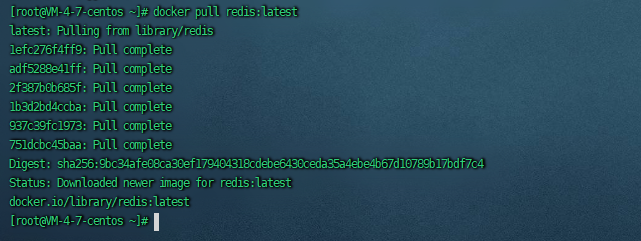 image-20220809220416969